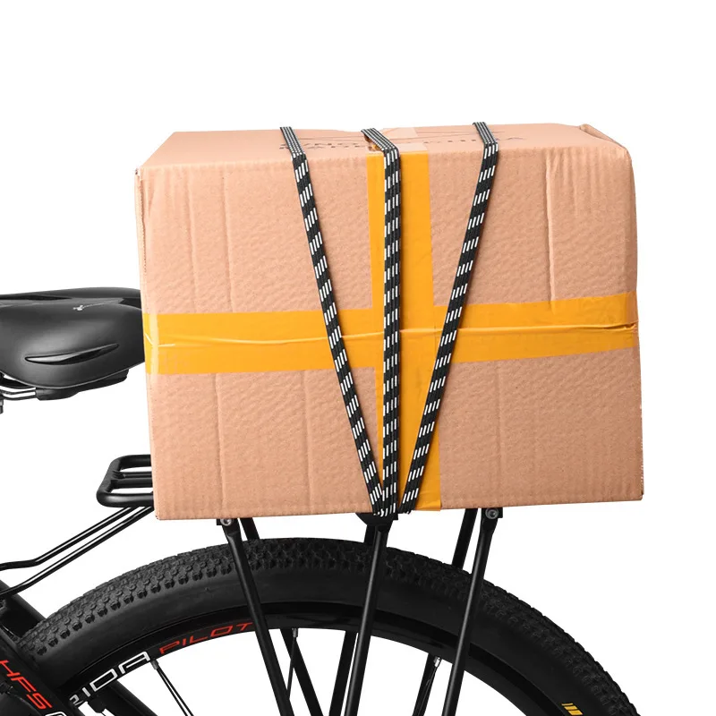 Tali Bagasi Sepeda Gunung, Tal - Bike Cargo Rack ulasan dan harga