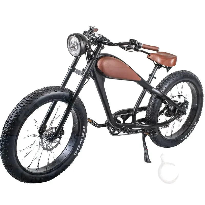 Sepeda Listrik Vintage OEM 750 - Road Bike Tire ulasan dan harga